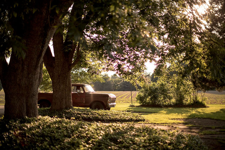 landscape with old red truck