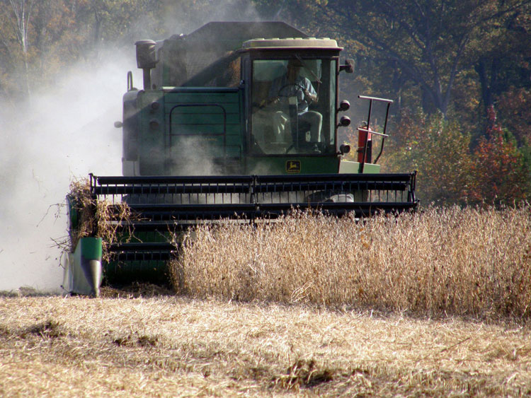 large soy bean harvester