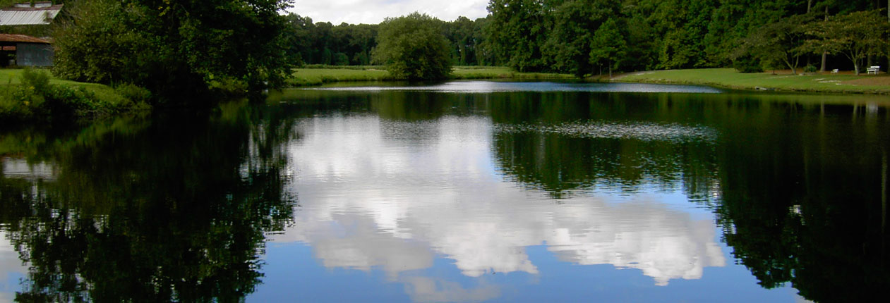 Sky reflected in large pond