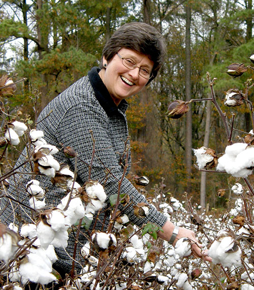 woman in cotton field